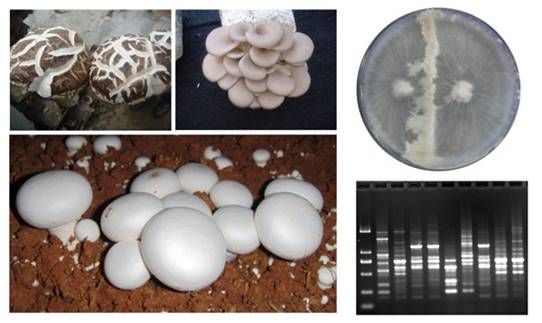 88BFE4DF39CF894812E857A25DE_50D16222_11CB8 88BFE4DF39CF894812E857A25DE_50D16222_11CB8